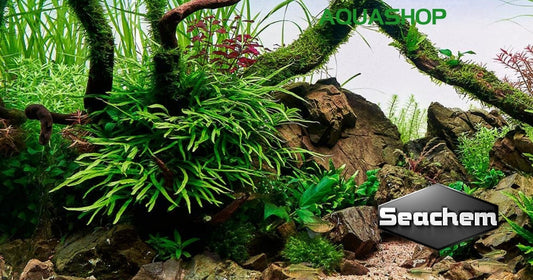 Biljni akvarij s oznakom Seachem