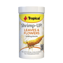 Tropical Shrimp Up Leaves & Flowers