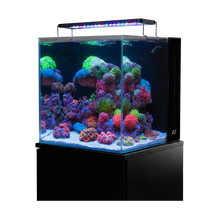 Aquaforest Nano Tank