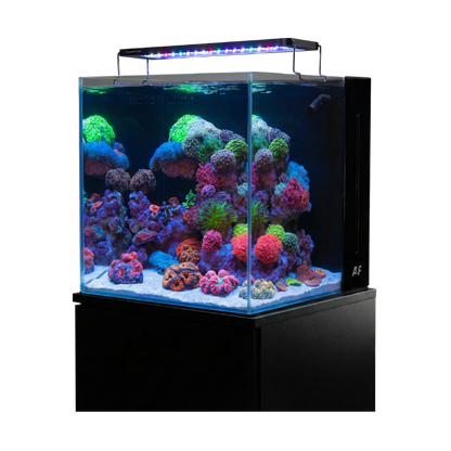 Aquaforest Nano Tank