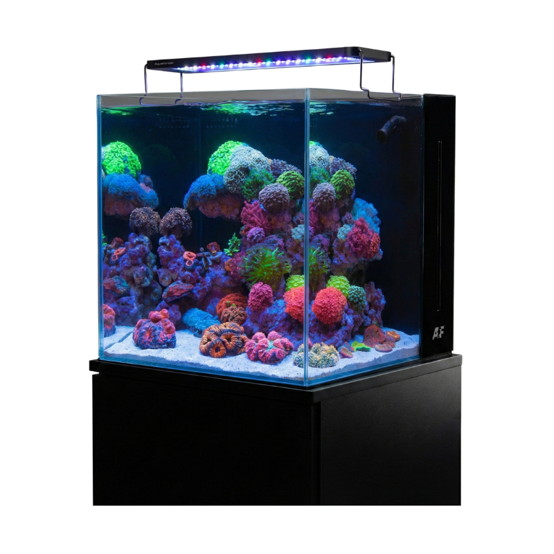 Aquaforest Nano Tank
