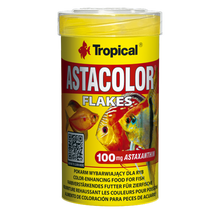 Tropical Astacolor