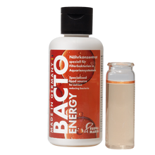 Fauna Marin Bacto Energy