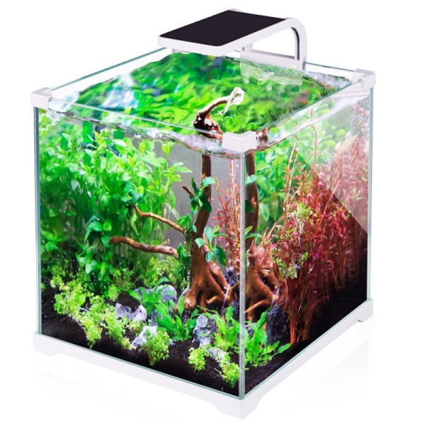 SunSun Shrimp LED