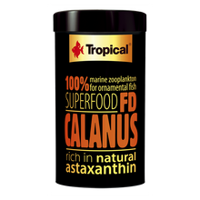 Tropical FD Calanus