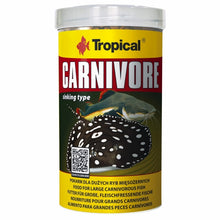 Tropical Carnivore