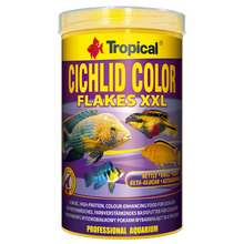 Tropical Cichlid Color