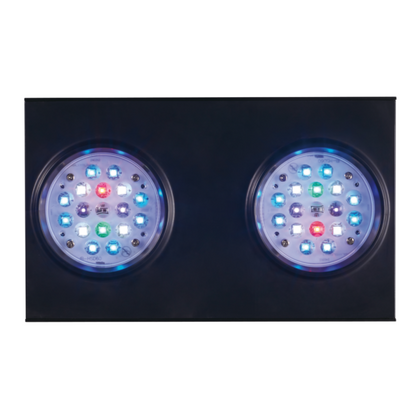 Jecod SQL LED