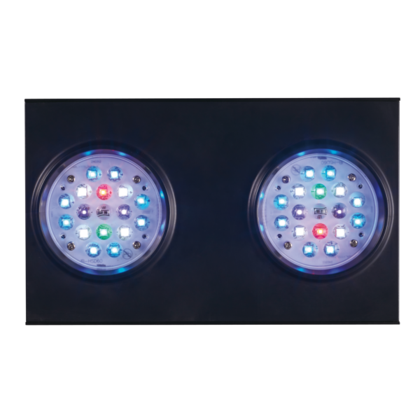 Jecod SQL LED