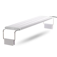 Kruger Meier Larino S-Line