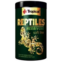Tropical Reptiles Soft Herbivore