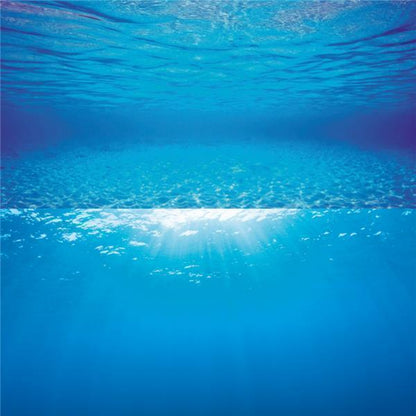 Juwel Poster 2 XL