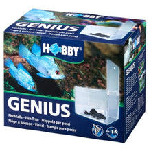Hobby Genius