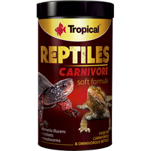 Tropical Reptiles Soft Carnivore