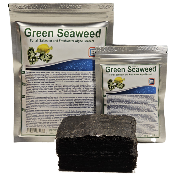 Dvh Seaweed green